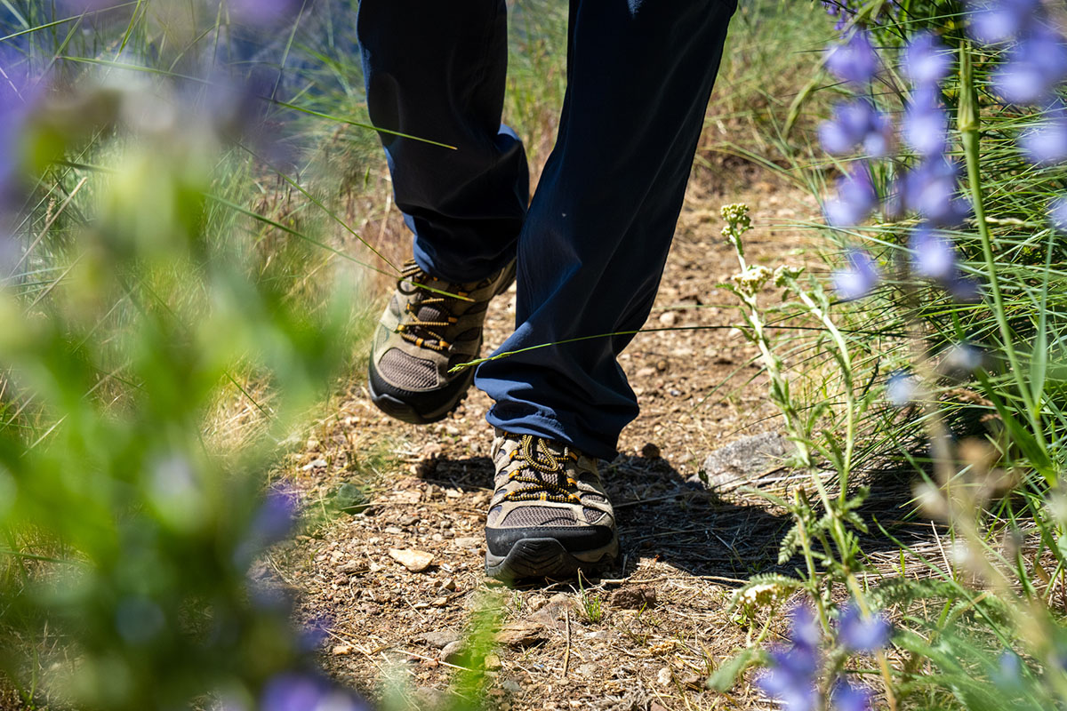 Merrell Moab 3 Hiking Shoe Review | Switchback Travel